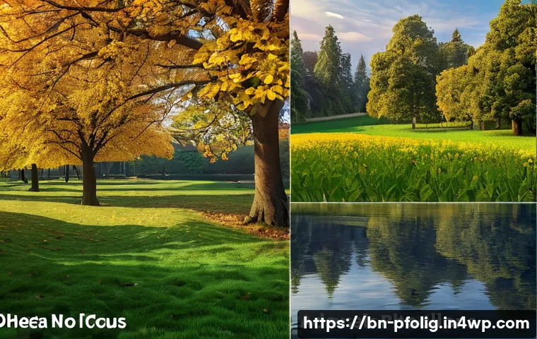 효과적인 포트폴리오 경력 디자인을 위한 트렌드 분석 - Here are three detailed image prompts in English, adhering to all the specified guidelines: